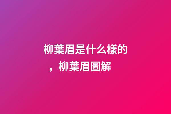 柳葉眉是什么樣的，柳葉眉圖解